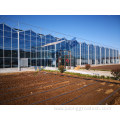 agricultural multi-span vegetables greenhouse